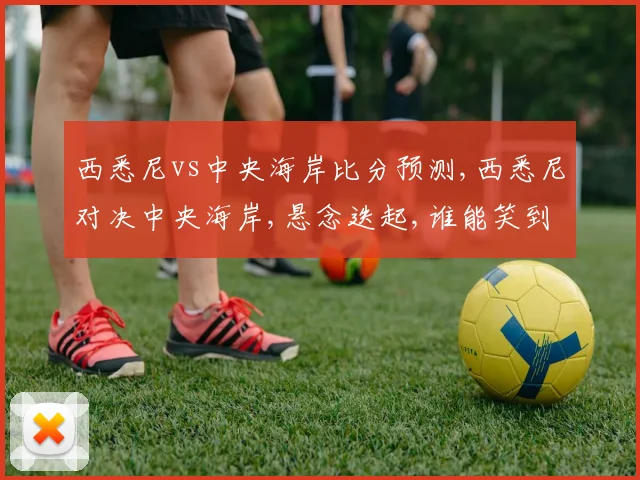 西悉尼vs中央海岸比分预测,西悉尼对决中央海岸,悬念迭起,谁能笑到最后